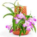 Plant Pots 5.7 Inch Self Watering Planters, Terracotta Pots with Drainage and Saucer, Hydroponic Clay Plant Pots Suitable for Indoor Plants, Orchid, African Violet, Flowers