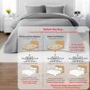 Queen Quilt Set 90"x90" Soft Washed 3-Layer Lightweight Bedspread with Multi-Lock Quilting, Minimalist Nordic Bedding, All-Season Quilt for Spring, Summer & Fall (1 Quilt + 2 Pillow Shams), Grey