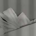 REORIA Tank Tops for Women Double Lined V Neck Summer Casual Basic 2026 Trendy Workout Going Out Clothes, Large