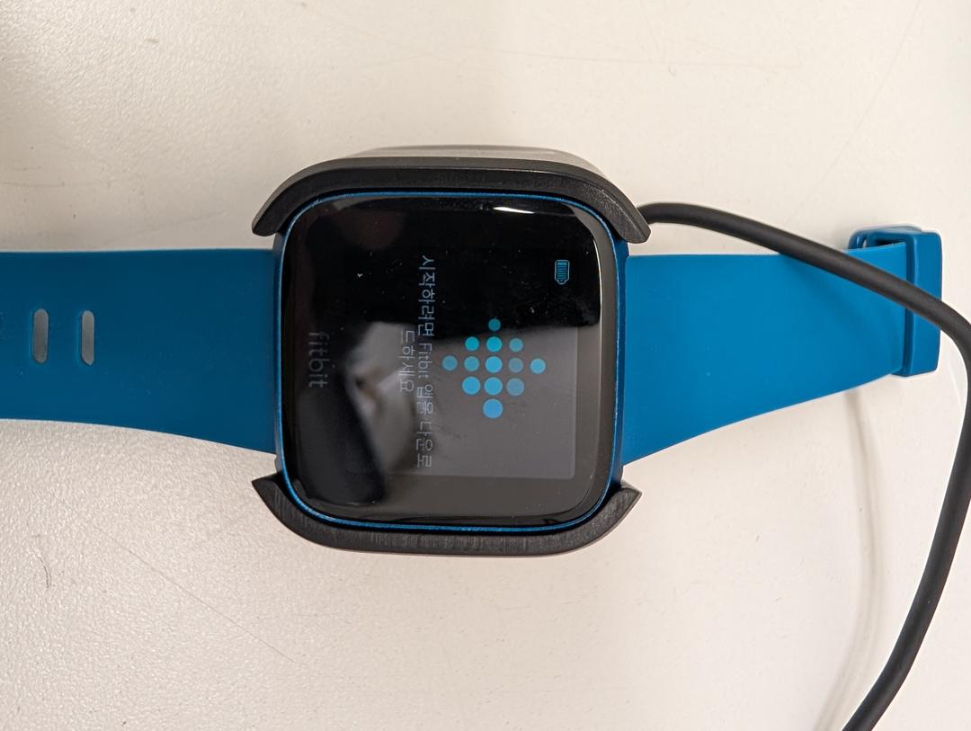 Fitbit Versa Lite Edition Smart Watch, One Size (S and L Bands Included)