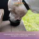 Evanger's Organics Beef Dinner for Dogs  12 Count, 12.5 oz Each  Qualified Organic, Grain Free, GMO Free  Nutrient-Dense Recipe with Organic Vegetables  Wet Dog Food