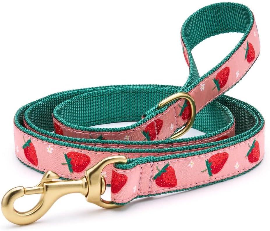 Up Country, Dog Lead Strawberry Fields Pattern Leash with D-Ring, 5 Foot (5 Foot 5/8" Narrow)