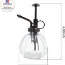 OFFIDIX Transparent Glass Watering Spray Bottle, 6.3 Inches Tall Vintage Style with Bronze Plastic Top Pump One Hand Plant Mister Glass Watering Can Indoor
