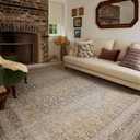 Loloi Chris Loves Julia Ida Stone/Gold 9'-3" x 13'-1" Area Rug | IDA-02 Approx. 9x13 Grey Living room Dining room Bedroom, Vintage Inspired, Timeless, Textured, Hand-Knotted, Area Rug
