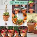 vensovo 6 Inch Terracotta & Clay Pots for Plant with Saucer - 4 Pack Medium Terra Cotta Planter with Drainage Hole, Flowerpot for Indoor Outdoor Plants, Crafts, Wedding Favor (Brown)