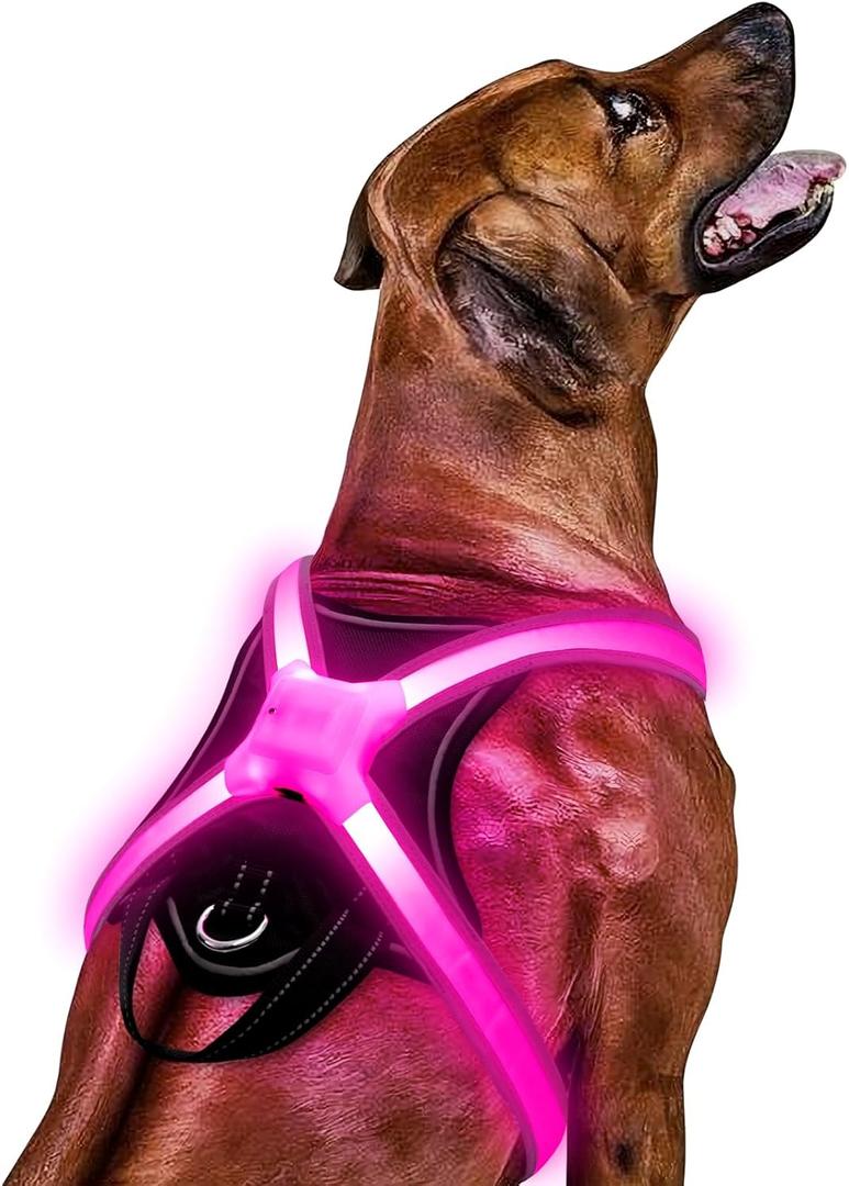 Light Up Dog HarnessMulticolor LED Dog Harness with 7 Lighting Modes | No Pull USB Rechargeable Safety Vest with Handle for Medium Large Dogs | Waterproof & Adjustable Glow-in-The-Dark Illuminated(M)