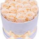 17 Flowers in a Luxury Suede Box, Birthday Gifts for Women, Preserved Flowers, Mothers Day Roses Gift for Mom, Champagne