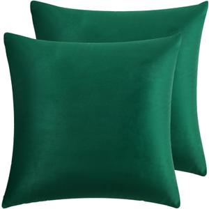 RainRoad Dark Green Throw Pillows Covers Set of 2 Soft Velvet Decorative Pillow Covers 20x20 Inch for Couch Bed Dark Green, 20" x 20" (Pack of 2))