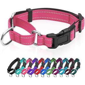 Amazon.com : Reflective Martingale Dog Collars. Dog Collar with Quick Release Buckle. Adjustable Soft Padded Breathable Nylon Pet Collar Suitable for Puppies for Small Medium Large Dogs
