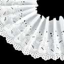 FINGERINSPIRE 3 Yards Ivory White Eyelet Cotton Trim 9inch Wide Cotton Lace Floral Embroidery Lace Trim Wavy Edge Floral Cotton Lace Ribbon for Sewing Dresses Clothes Bag Pets Clothes Decoration