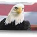 Husky Liners Hood Protector w/American Flag | Fits 2006-2008 Lincoln Mark LT Behind Grille; 2004-2008 Ford F-150 Behind Grille, High Profile/Bug Shield - 1 pc., Multi-Colored-USA | 2818033