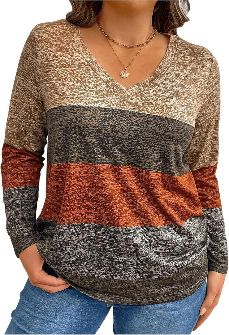 Milumia Women's Plus Size Color Block Long Sleeve Tee Top V Neck T Shirt Multicolor 2XL