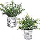Winlyn 2 Pack Small Potted Eucalyptus Plant Artificial Plants Green Boxwood Rosemary Greenery in Modern Concrete Plant Pots