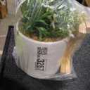 Potted Green Artificial Succulent with Wooden Stand