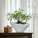 Bonsai Pots 13 Inch - Ceramic Succulent Pots with Drainage Hole Decorative Plant Pot Indoor Large Outdoor Planter Modern Flower Pot for Home Garden Office Room Decor Gray, 13.4 Inch