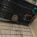 20-inch Bird Cage,Foldable Medium Small Parrot Parakeet Bird Cages for Parrots Canaries Cockatiels Lovebirds Finches Budgies Conures Pet Metal Birdcage with Slide-Out Tray and 4 Pcs Bird Toys