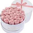 Prifroti 27 Flowers in a Luxury Suede Box, Birthday Gifts for Women, Preserved Flowers, Mothers Day Roses Gift for Mom, Dusty Rose