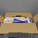 Sealy Electric Blanket Full Size, Flannel Heated Blanket with10 Heating Levels & Auto Shut Off, Machine Washable, Beige, 80 x 84 Inch