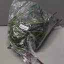 12Pcs Realistic Norfolk Pine Branches -18Inch Artificial Real Touch Christmas Pine Stems Picks Greenery Fake Cedar Pine Branch for Vase DIY Crafts, Xmas Indoor Outdoor Home Decor