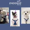 Puppytie No Pull Dog Harness with Multifunction Dog Leash,Soft Adjustable No Choke Escape Proof Pet Harness Vest for Medium Dogs,Glossy Sapphire Blue,M (M(16.5-31lb)
