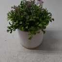 10" Fake Artificial Plant