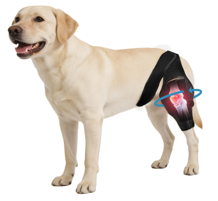 Noorace Dog Knee Brace for Torn ACL/CCL & Hind Leg Support - Adjustable Brace for Arthritis Relief, Joint Stability & Injury Recovery