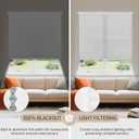 Grandekor No Tools No Drill Cordless Cellular Shades,34" W x 36" H,Blackout Honeycomb Blinds for Indoor Windows,UV Protection Privacy No Drill Blinds for Home ,Door, White Pack of 2