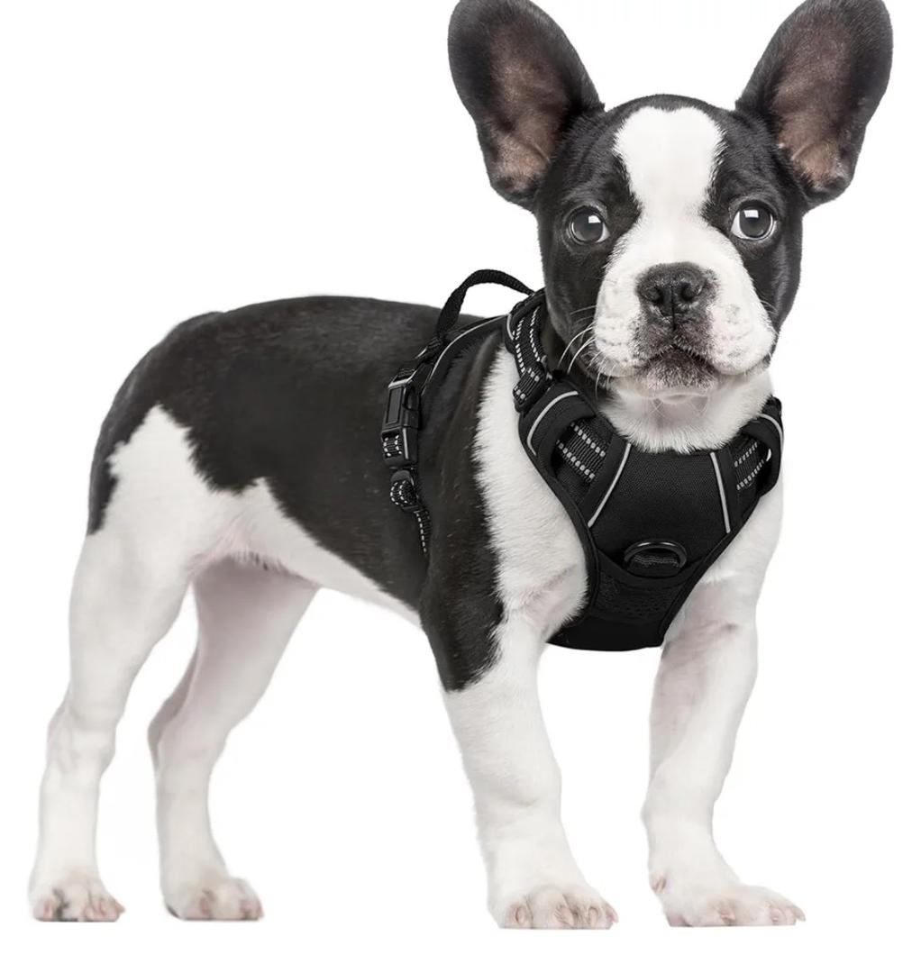 rabbitgoo Dog Harness No Pull with 2 Leash Clips, Adjustable Soft Padded, Reflective Oxford No Choke Pet Vest with Easy Control Handle for Small Dogs, Black, S
