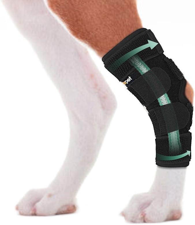 Dog Leg Brace for Rear Hock Joint, Compression Wrap Strong Support Back Leg for Canine Torn Acl & Ccl, Hind Ankle Injury and Sprain Heals, Keeps Warm and Stability for Arthritis (M)