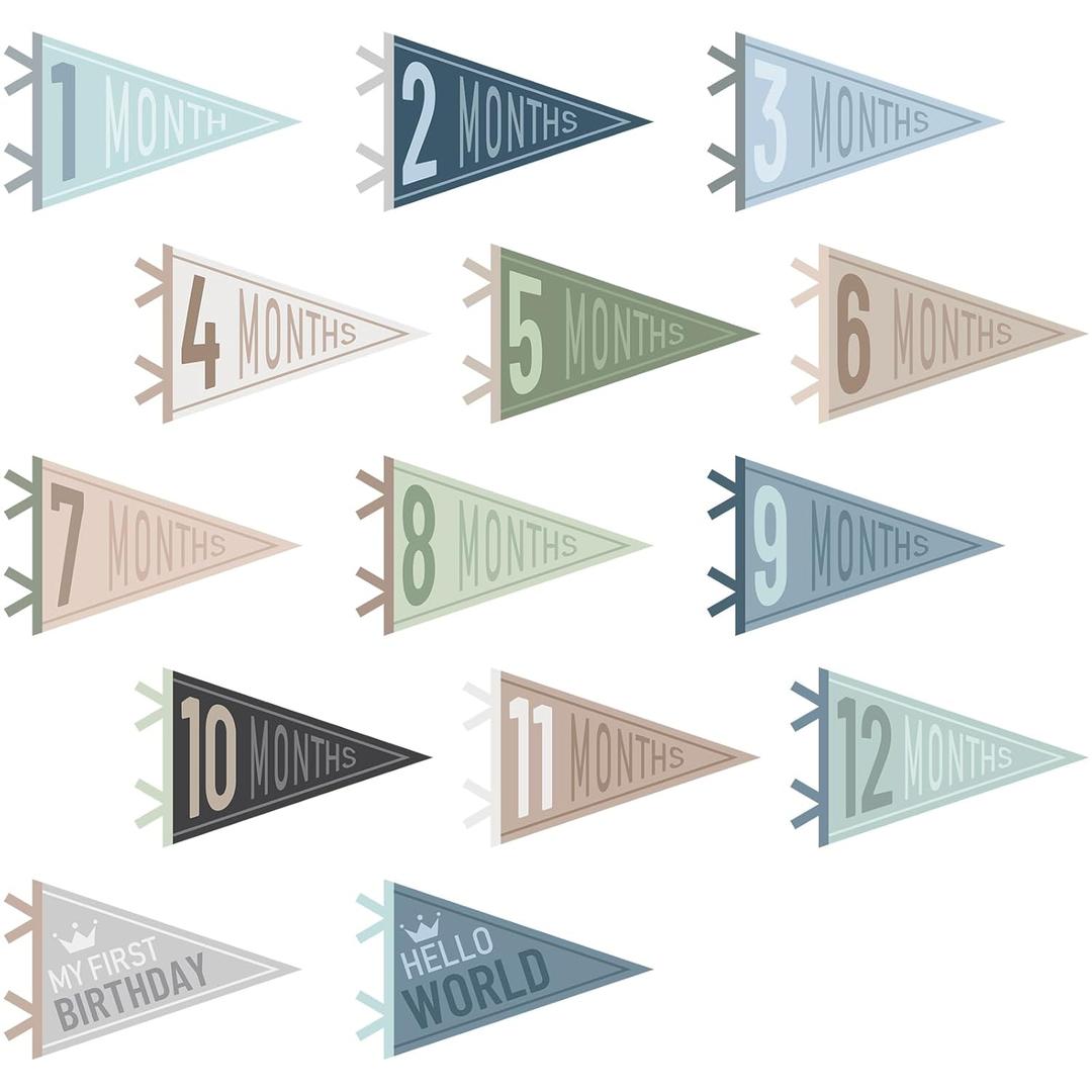 VitalCozy 14 Pcs Baby Milestone Pennant Signs Monthly Milestone Banner Flags Pennant Triangle Banner Age Flag Signs for Boy Girl Newborn Birthday Party Decor(Ocean Color)
