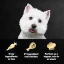 Cesar Simply Crafted Adult Wet Dog Food Toppers for Dry Food, Chicken, 1.3 oz Tubs, 10 Count (EXP 12/13/27)