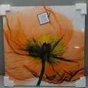 Empire Art Direct Frameless Free Floating Tempered Glass Panel Graphic Wall Art Ready to Hang, 24" x 24", Poppy Orange
