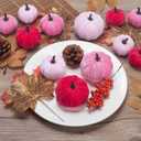 21 PCS Pink Pumpkins Set for Thanksgiving Decor, 3 Sizes Fake Velvet Pumpkin Mini Foam Pumpkin for Thanksgiving Farmhouse Fall Harvest Decorations Halloween Party Autumn Table Centerpiece
