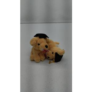 Graduation Puppies With Cap and Diploma 10", Pack of 2
