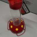 Perky-Pet 209B-1SR Glass Hummingbird Feeders for Outdoors Hanging - 30 fl oz Nectar Capacity - Ant & Bee Guarded Red Bird Feeder