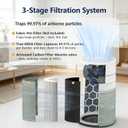 211i Max Replacement Filter, Compatible with Blueair 211i Max Air Purifier, 3-in-1 True HEPA and Activated Carbon, 2-Pack