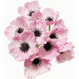 Rikyo 10 Stem 11" Bouquets Artificial Flowers Poppy Flowers,No Fade PU Fake Wild Flowers for Kitchen Table Centerpiece Vase,Home Greenery Wedding Holding Flowers Backdrop Arch Wall(Pink)