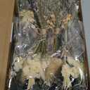 Layhit 24 Pcs Boho Dried Flower Bouquet Mini Wedding Handmade Dry Flowers Decor for Vase Crafts DIY Photo Boutonniere for Men Floral Plant for Bridesmaid Gift Birthday Decor (Vivid)