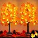 2 Pack 24 Inch Artificial Lighted Fall Maple Tree Thanksgiving Decorations with 48 LEDs Battery Operated Timer Prelit Acorn Maple Tree Lights for Thanksgiving Table Decor Home Indoor Autumn Harvest