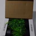 Der Rose Fake Plants 4 Packs Artificial Plants Small Faux Plants Black Bathroom Accessories for Halloween Bathroom Home Kitchen Coffee Table Office Desk Decor Indoor (Green)