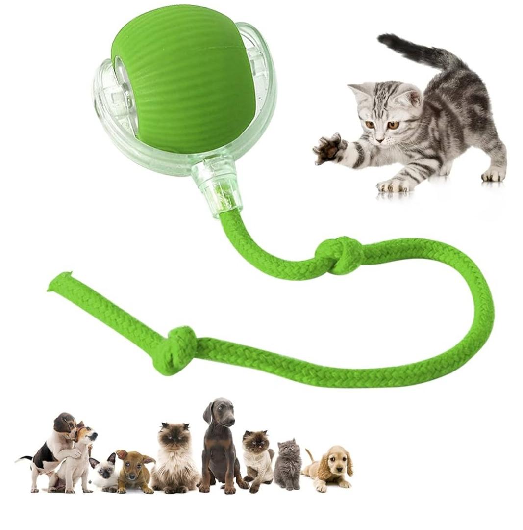 DVHNMK Chewie Viral 360 Smart Automatic Rolling Pet Ball  Interactive Dog & Cat Toy (Green)