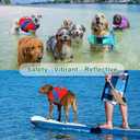 Fragralley Dog Life Jacket with High Buoyancy, Reflective Strips, Rescue Handle, Adjustable Fit, Quick Release Buckles, Tear-Resistant Nylon, Swim Life Vest for Small Medium Large Dogs (RED(Spider Web))