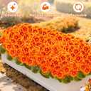 Artificial Fall Flowers Faux Geraniums for Outdoor Indoor Fall Autumn Decoration, 8 Bundles Silk Fake Fall Flowers Plants Look Real UV Resistant for Outside Planters Yard Patio Porch