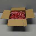 50 Pcs Holly Stems, 8.7" Snow Sprays Artificial Red Berry Stems, Holly Berry Picks for Christmas Tree Fillers Decor, Fake Red Berries for DIY Crafts Wreaths Garland Home Party Winter Decor