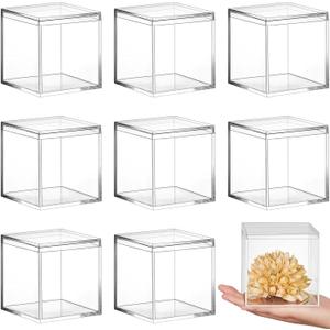 Blulu 8 Pieces Clear Acrylic Plastic Jewelry Box Mini Storage Box Mini Cube Containers with Lids for Candy Pill and Tiny Jewelry(Square,3.9 x 3.9 x 3.9 Inch)