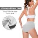CAILECOTTON Womens Underwear Cotton Briefs for Women Plus Size Panties for Women Pack 2/5 (Gray, XXL)