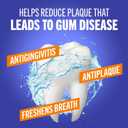 TheraBreath Healthy Gums Oral Rinse, Antigingivitis, Clean Mint Flavor, Dentist Formulated to Help Prevent Gingivitis and Support Gum Health, Alcohol Free, 16 Fl Oz, Exp: 09/2027 (Pack of 2)