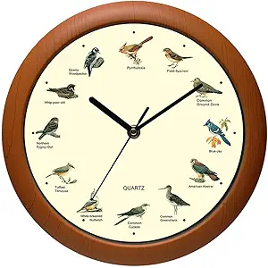 Belinlen Singing Bird Wall Clock 12 Inch of The Bird Names and Songs