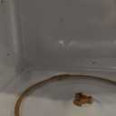 FRIGIDAIRE 1.1 Cu Ft Stainless Steel Countertop Microwave Oven, Multi Function, Programmable, 1000W, residential kitchen, Stainless