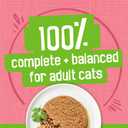 Purina Friskies Wet Cat Food Pate, Pate Salmon Dinner - (Pack of 24) 5.5 oz. Cans (EXP 09/01/27)